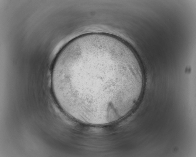 X0000112211509200909041328