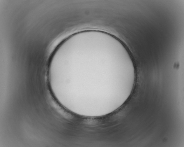 X0000112211511200909041328