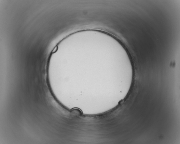X0000112211512200909041328