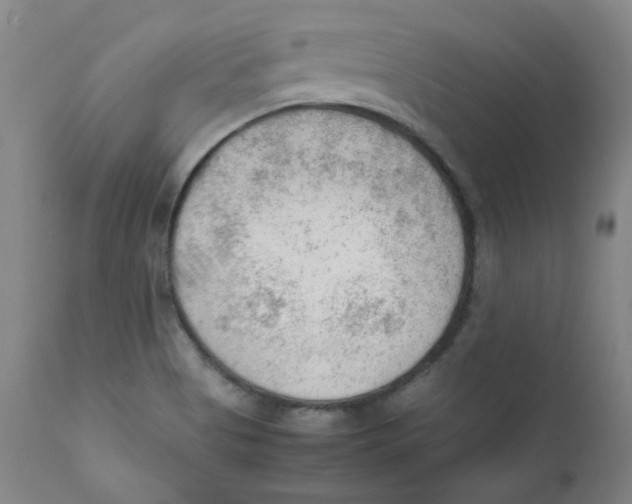 X0000112211513200909041328