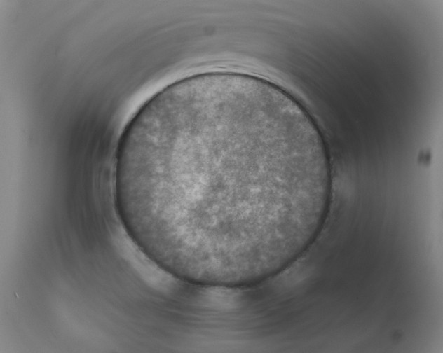 X0000112211514200909041328