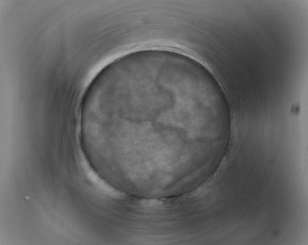 X0000112211515200909041328