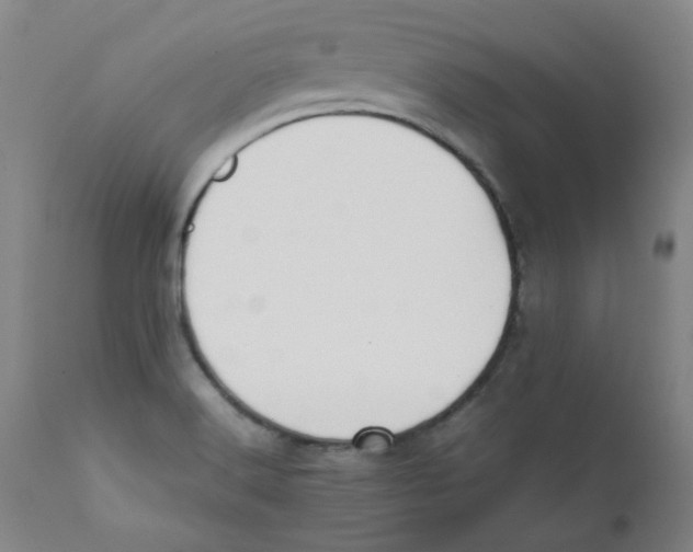 X0000112211516200909041328