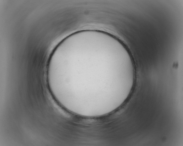 X0000112211517200909041328