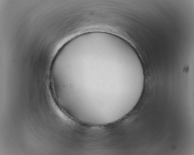 X0000112211523200909041328
