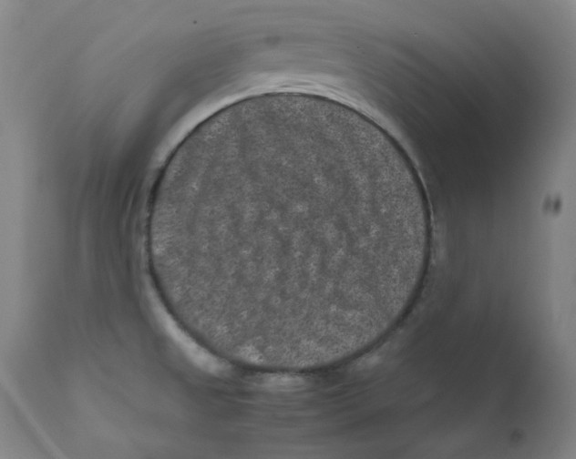 X0000112211525200909041328