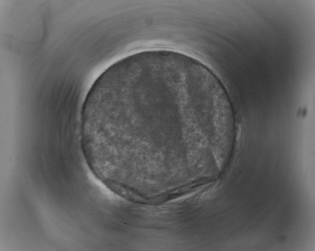 X0000112211527200909041328