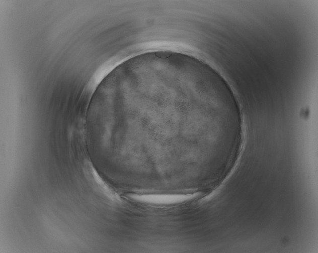 X0000112211529200909041329