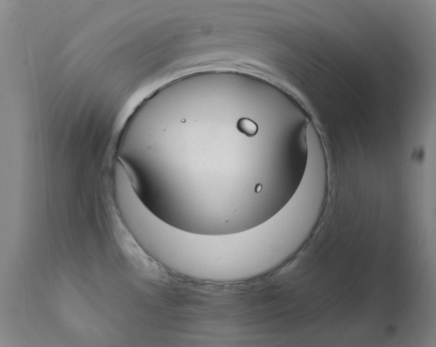 X0000112211530200909041329