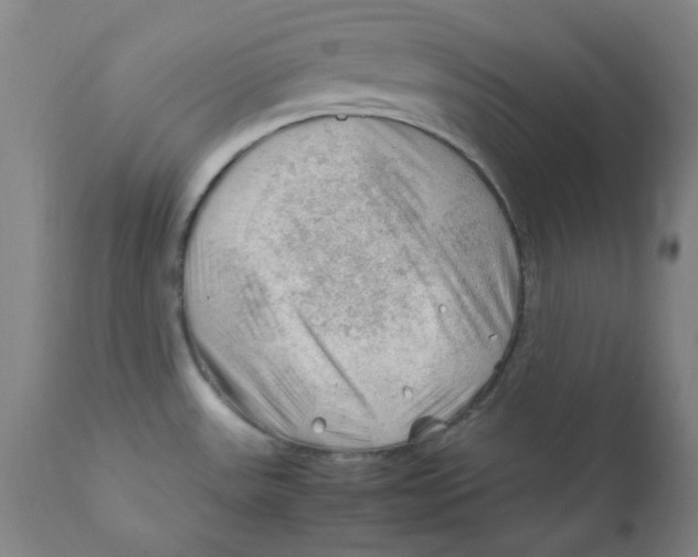 X0000112211531200909041329
