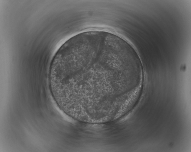 X0000112211533200909041329
