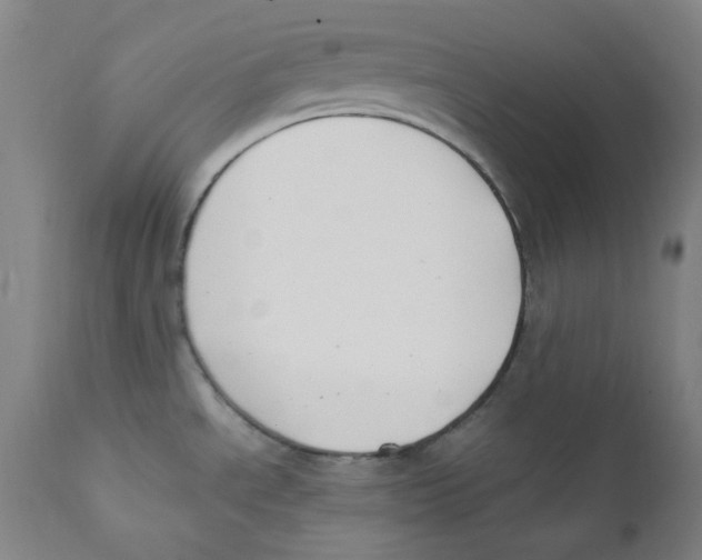 X0000112211534200909041329