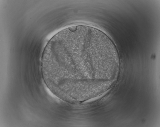 X0000112211535200909041329