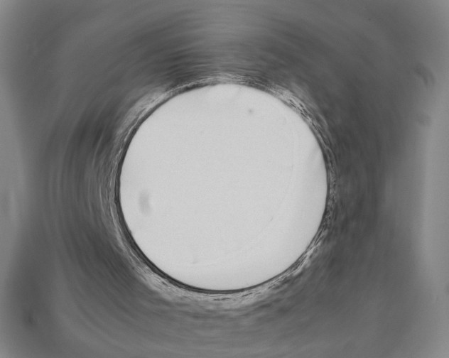 X0000112210001200909181603