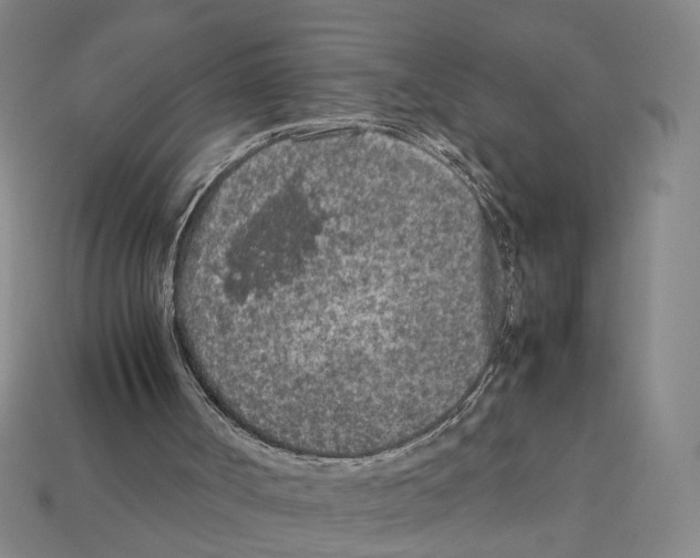 X0000112210002200909181603