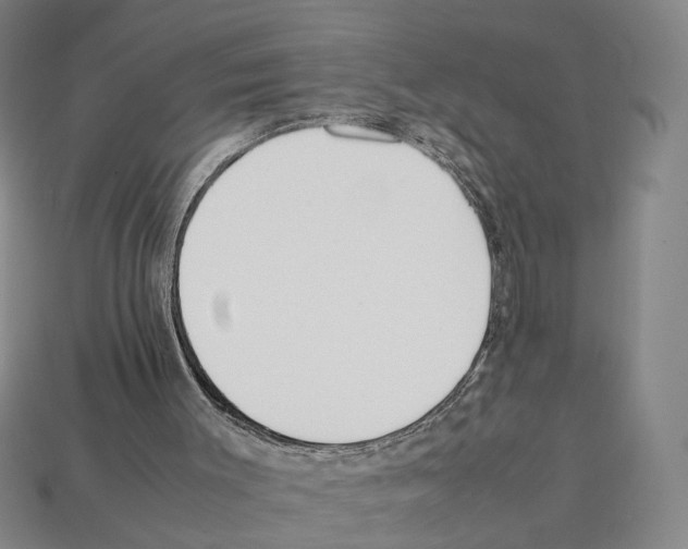 X0000112210003200909181603