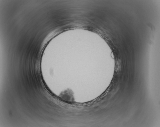 X0000112210004200909181603