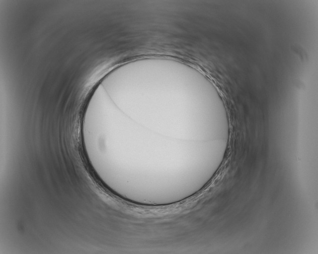 X0000112210005200909181603