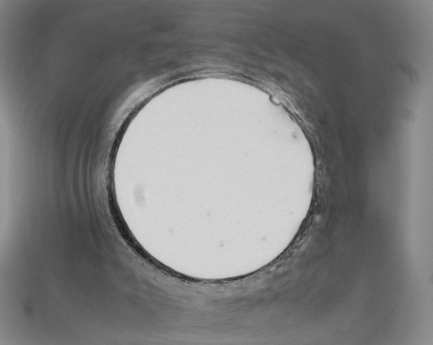 X0000112210007200909181603