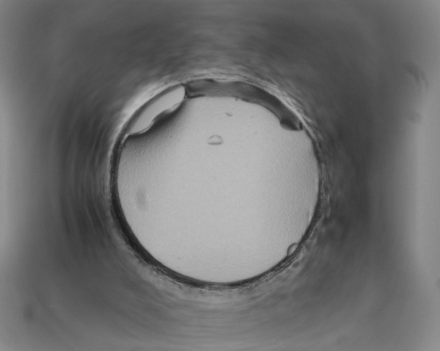 X0000112210008200909181603