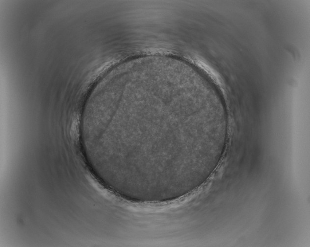 X0000112210009200909181603