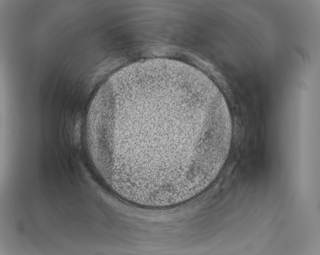 X0000112210010200909181603
