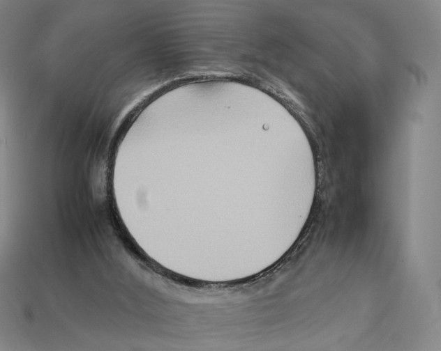 X0000112210012200909181603