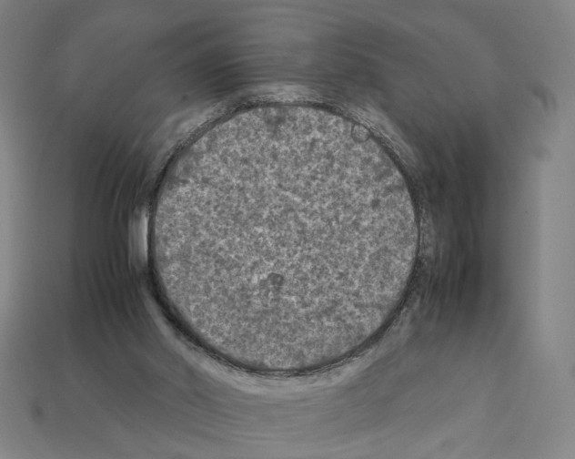 X0000112210014200909181603