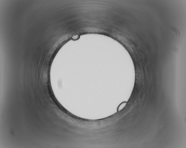 X0000112210015200909181603