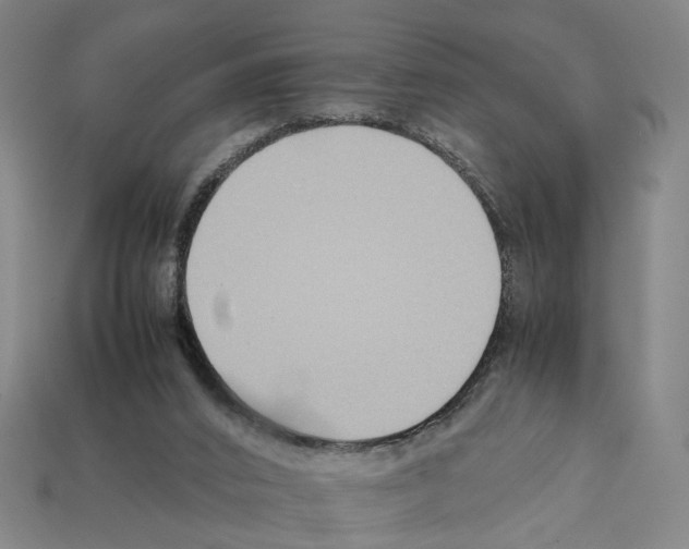 X0000112210016200909181603