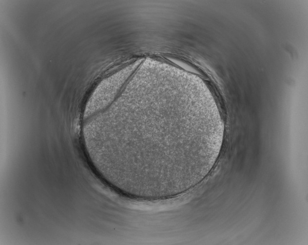 X0000112210017200909181603