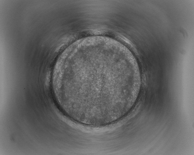 X0000112210018200909181603