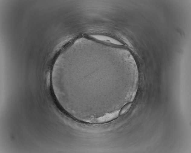 X0000112210019200909181603