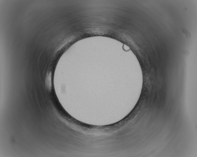 X0000112210020200909181603