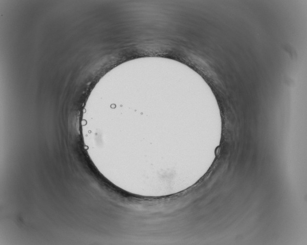 X0000112210021200909181603