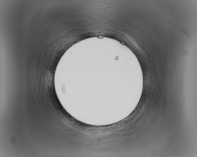 X0000112210025200909181603
