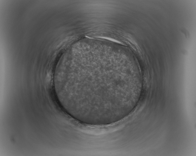 X0000112210029200909181603