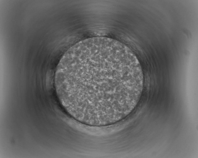 X0000112210030200909181603