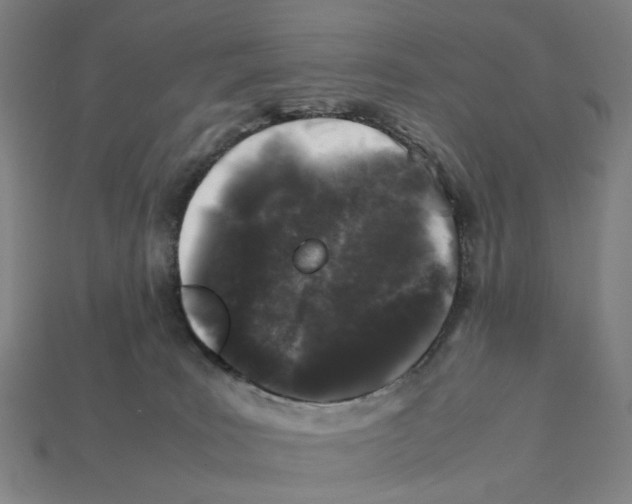 X0000112210035200909181603