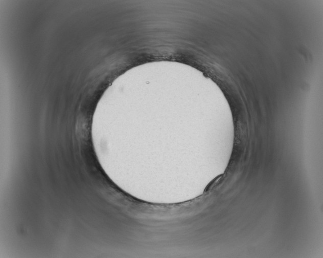 X0000112210037200909181603