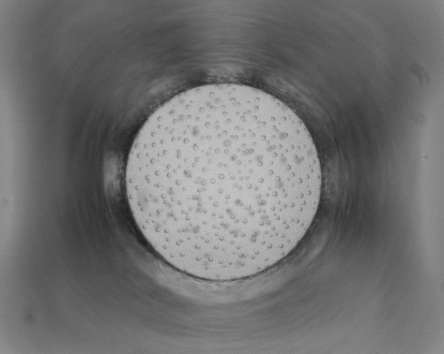 X0000112210038200909181603