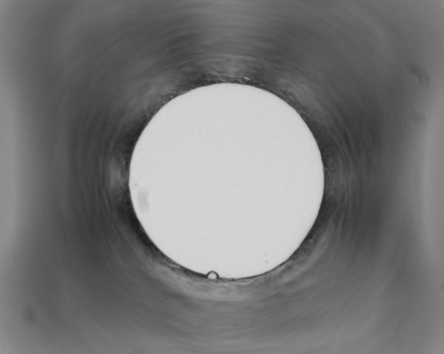 X0000112210040200909181603