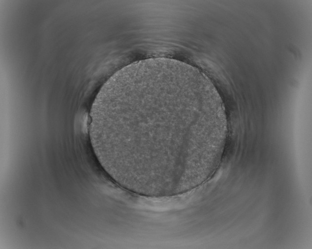 X0000112210041200909181603