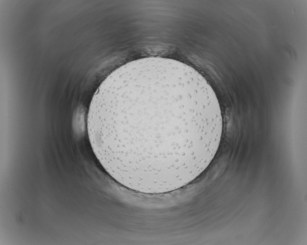 X0000112210042200909181603
