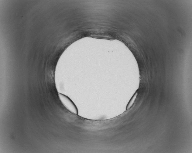 X0000112210045200909181603
