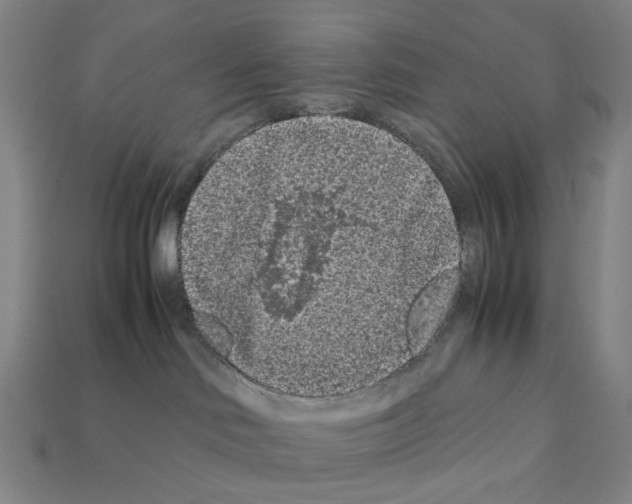 X0000112210046200909181603