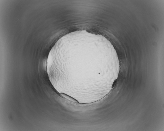 X0000112210047200909181603