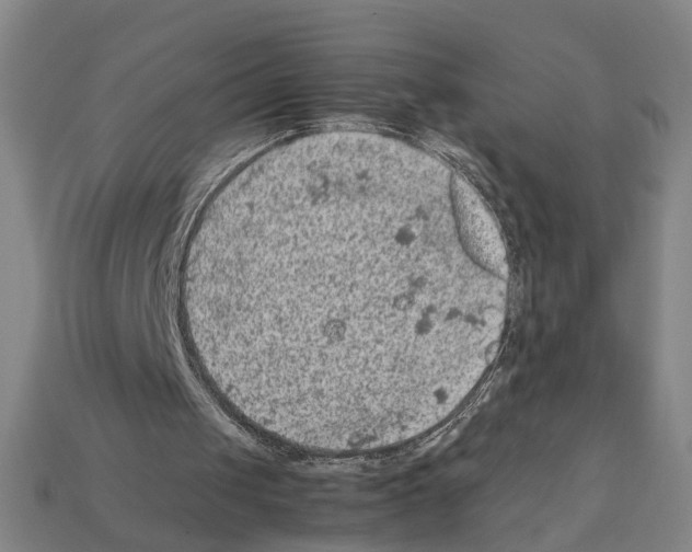 X0000112210049200909181602