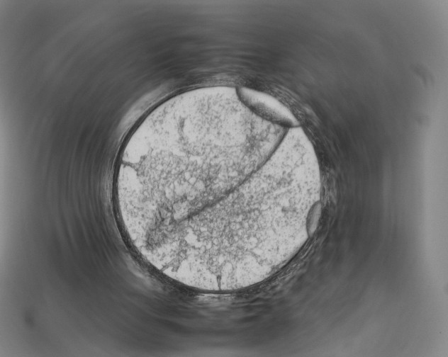 X0000112210051200909181602