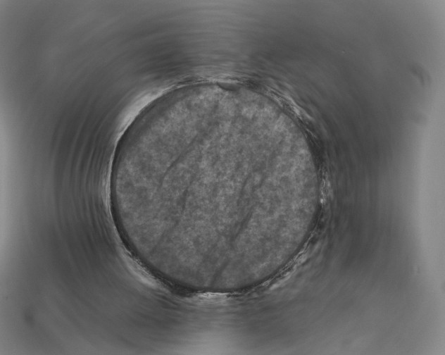 X0000112210052200909181602
